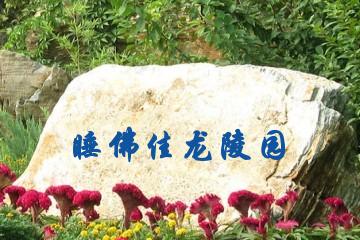 吉林睡佛佳龙陵园